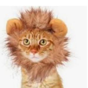 Meet your Posher, Michaela